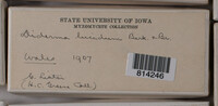 Image Associated With the Occurrence